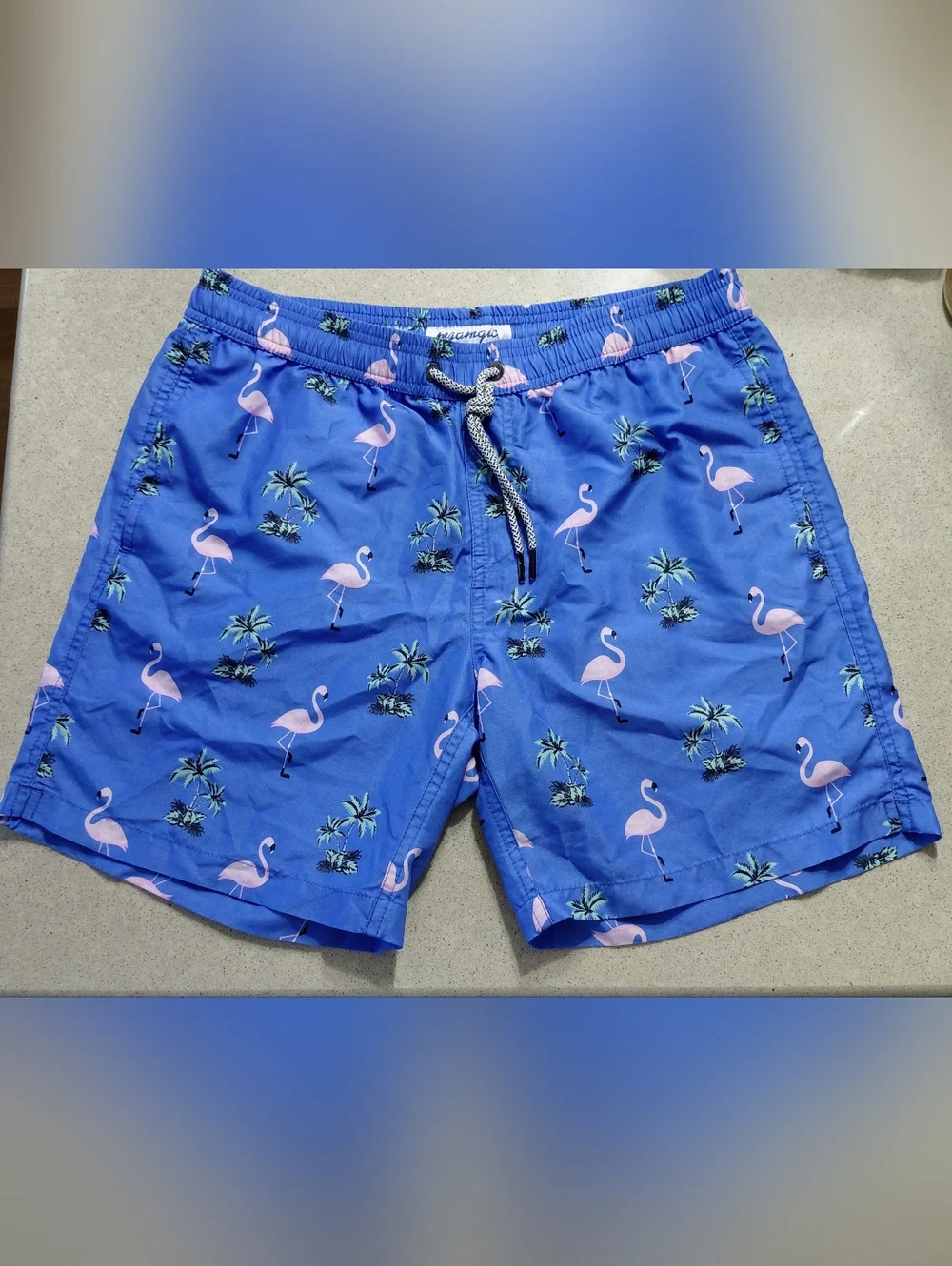 Flamingo Print Swim Trunks - Blue & Pink